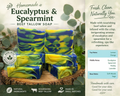 Eucalyptus and Spearmint Beef Tallow Soap